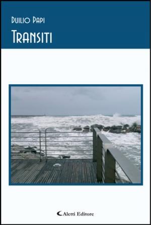Cover of the book Transiti by Poeti a raffronto