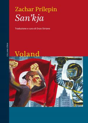 Cover of the book San'kja by Ivan Turgenev