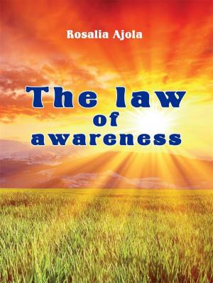 Cover of the book The Law of Awareness by Attilio Giovanni Riboldi