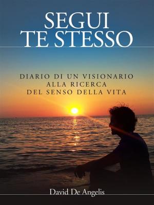 Book cover of Segui Te Stesso - Diario di un visionario alla ricerca del senso della vita