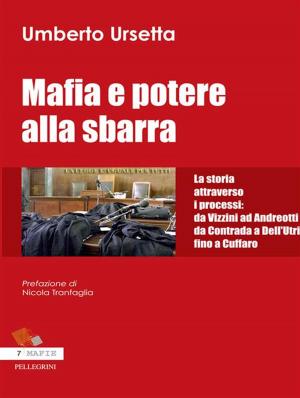 Cover of the book Mafia e potere alla sbarra by Angelo Avignone