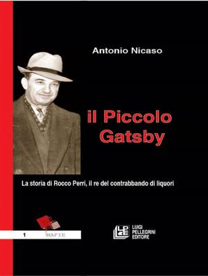 Book cover of Il Piccolo Gatsby. La storia di Rocco Perri, il re del contrabbando di liquori