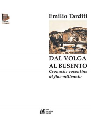 Cover of the book Dal Volga al Busento. Cronache cosentine di fine millennio by Natale G. Calabretta