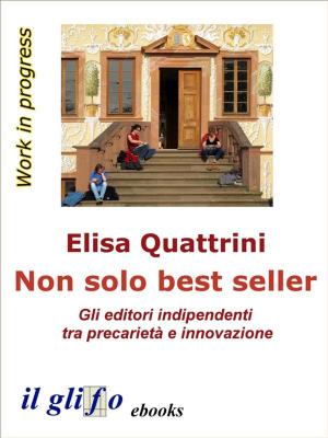Cover of the book Non solo best seller. Gli editori indipendenti tra precarietà e innovazione by Sergio A. Dagradi