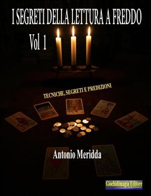 Cover of the book I segreti della lettura a freddo Vol.1 by Antonio Meridda