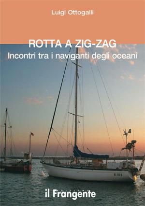 Cover of the book Rotta a zig-zag by Gregory Harris