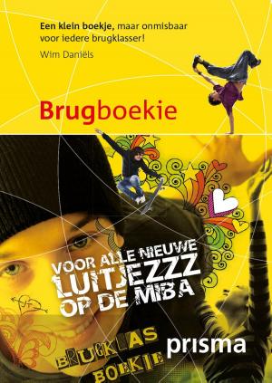 Cover of the book Brugboekie by Michiel van Straten
