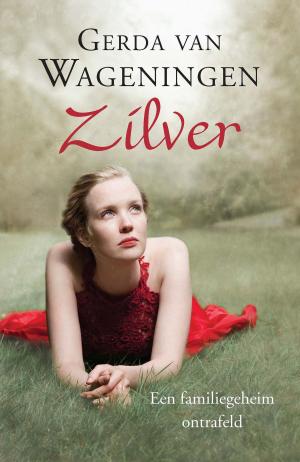 Cover of the book Zilver by Leoniek van der Maarel