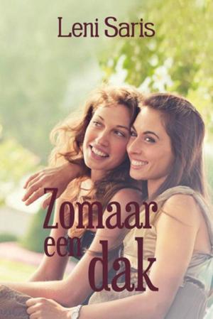 Cover of the book Zomaar een dak by Ted Dekker