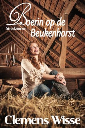 Cover of the book Boerin op de Beukenhorst by Laura Frantz