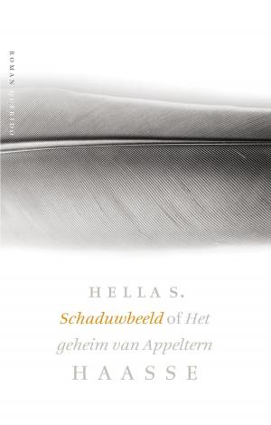 Cover of the book Schaduwbeeld of Het geheim van Appeltern by Tomas Lieske