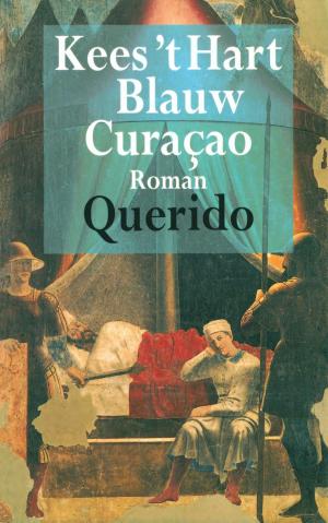Book cover of Blauw Curacao