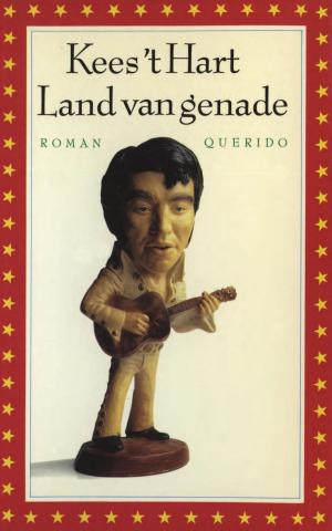 Cover of the book Land van genade by Rob Ruggenberg