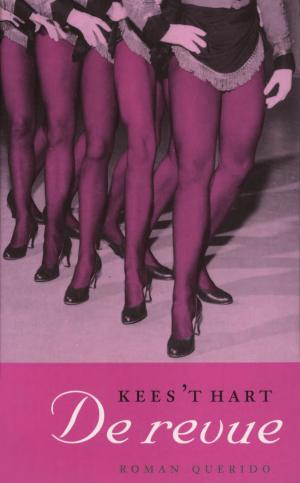 Cover of the book De revue by Jan Simoen