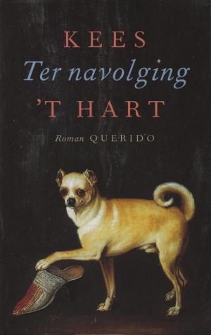 Cover of the book Ter navolging by Pieter Frijters