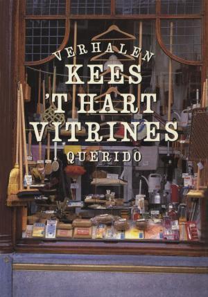 Cover of the book Vitrines by Theun de Vries