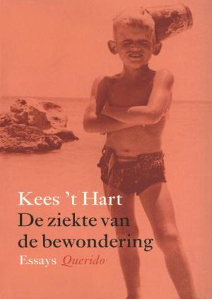 Cover of the book De ziekte van de bewondering by Theun de Vries