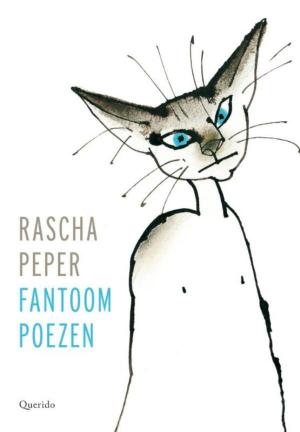 Cover of the book Fantoompoezen by Robert Haasnoot