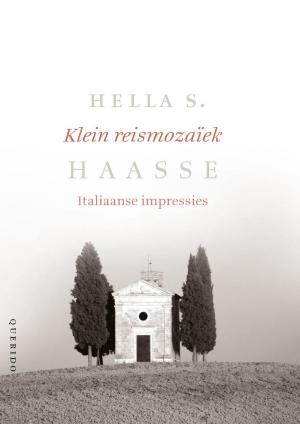 Cover of the book Klein reismozaiek by John Banville