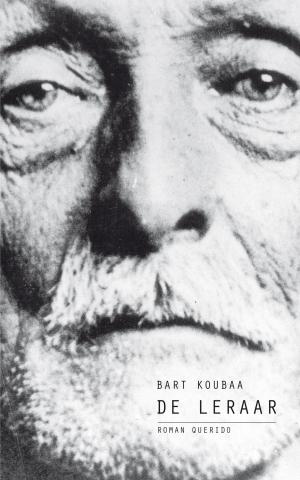 Cover of the book De leraar by Jean Echenoz