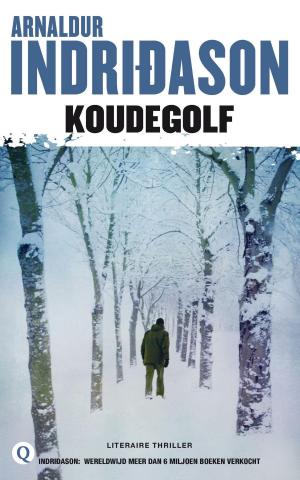 Cover of the book Koudegolf by Bettine Vriesekoop