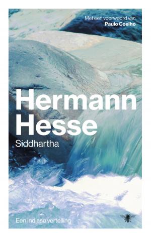 Cover of the book Siddhartha by Philippe Claudel
