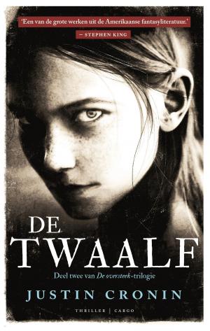 Cover of the book De twaalf by Tommy Wieringa