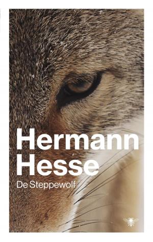 Book cover of De steppewolf