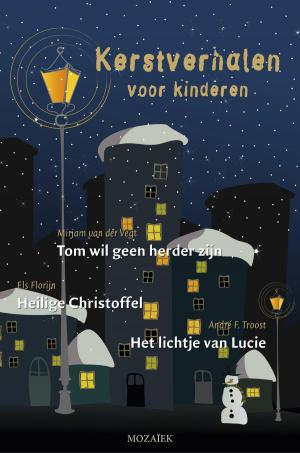 Cover of the book Kerstverhalen voor kinderen (1) by Cees Pols