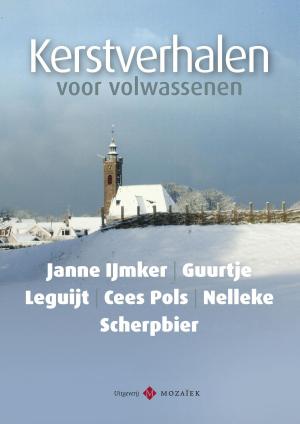 Cover of the book Kerstverhalen voor volwassenen (1) by J.K. Norry