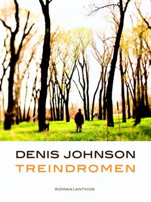 Book cover of Treindromen