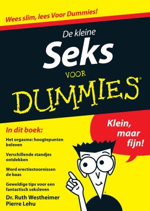 Cover of the book De kleine seks voor Dummies by Anja Wiersma
