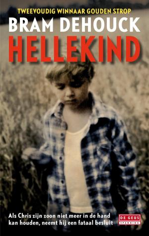Cover of the book Hellekind by H.J.A. Hofland