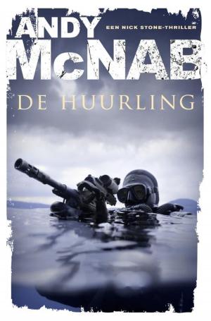 Cover of the book De huurling by Havank