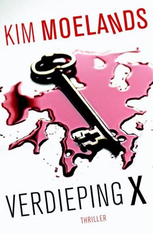 Cover of the book Verdieping X by Åke Edwardson