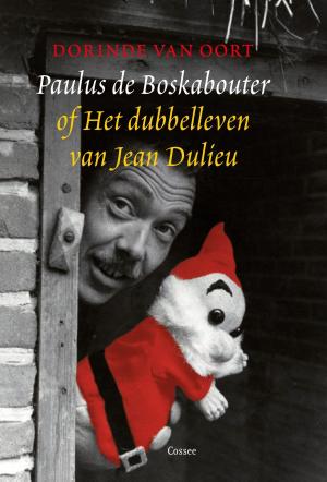 Cover of the book Paulus de Boskabouter of het dubbelleven van Jean Dulieu by David Grossman
