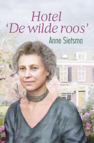 Book cover of Hotel de Wilde Roos