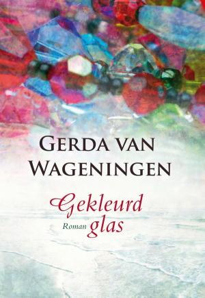 Cover of the book Gekleurd glas by Abigail Haas