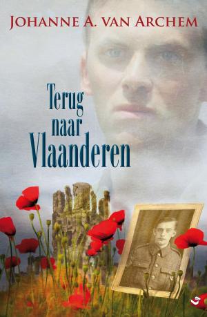 Cover of the book Terug naar vlaanderen by Ina van der Beek