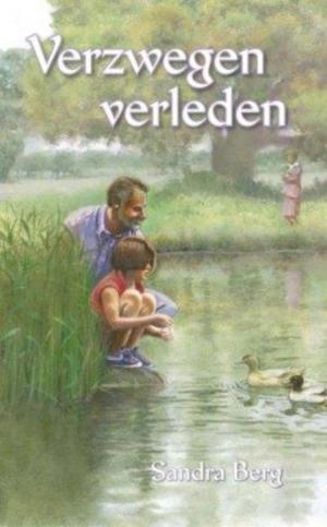 Cover of the book Verzwegen verleden by Ellen Winkel