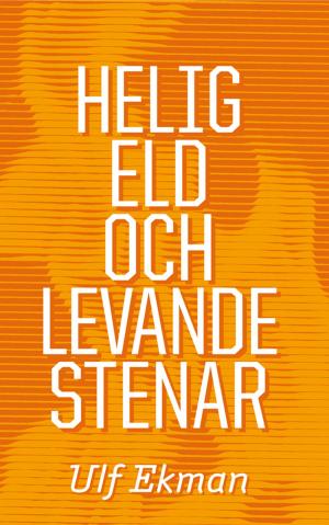 Cover of the book Helig eld och levande stenar by Christy Bower