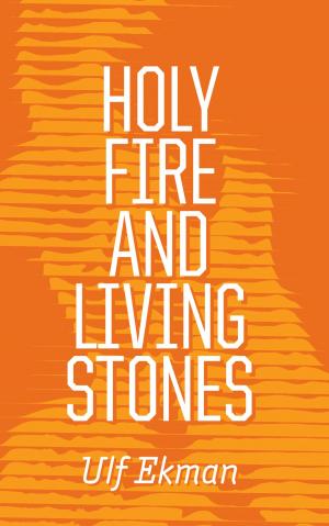 Cover of the book Holy Fire and Living Stones by Carl-Gustaf Severin