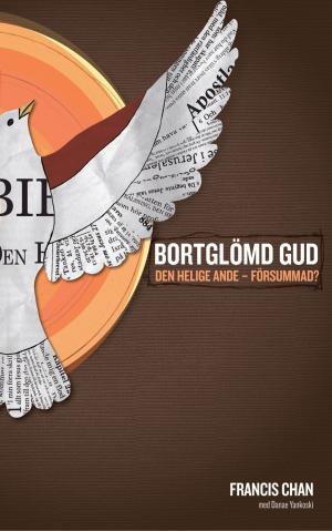 bigCover of the book Bortglömd Gud by 