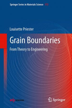 Cover of the book Grain Boundaries by Panna Ram Siyag