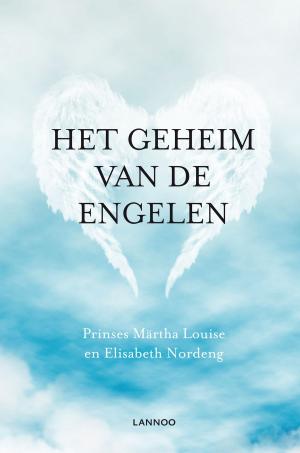 Cover of the book Het geheim van de engelen by Saint Germain, Rubén Cedeño