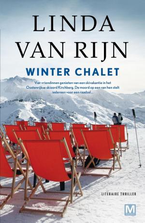 Book cover of Winter chalet