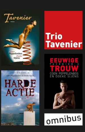 Cover of the book Trio Tavenier by Martha Vollering