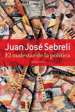 Cover of the book El malestar de la política by Ana María Cabrera