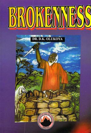 Cover of the book Brokenness by Dr. Marie Dove