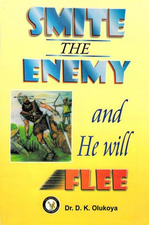 Cover of the book Smite the Enemy and He Will Flee by Dr. Gary S. Day, VB4Christ